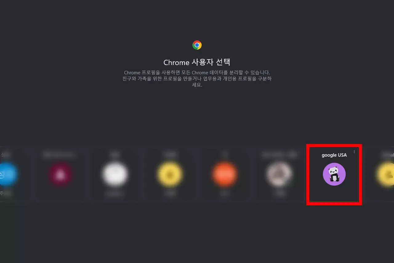 Chrome 사용자 선택 페이지